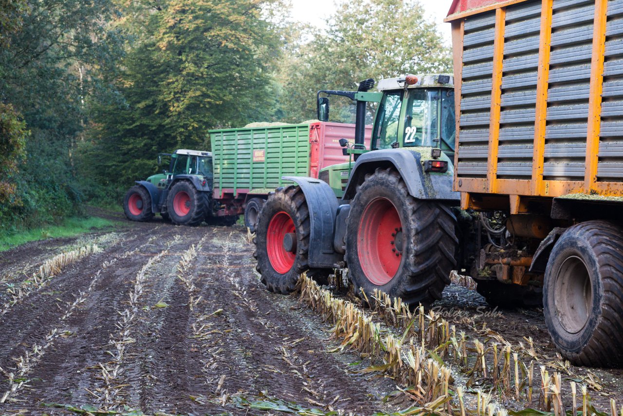 Bild 48 - Maisernte am 11.10.12